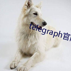 telegraph官網入口