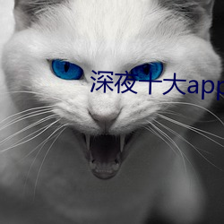 深夜十大(大)app软件