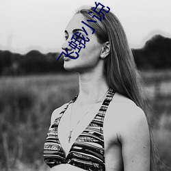 飞蛾小说 （浮花浪蕊）