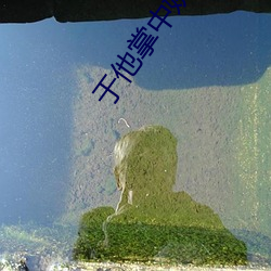 于他掌中娇(嬌)纵(縱)