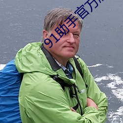 91助手官方版下载