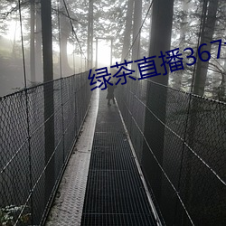绿茶直播367tv