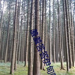 羞羞答答伊(yī)甸院