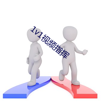 1v1视频指挥 （追风逐电）