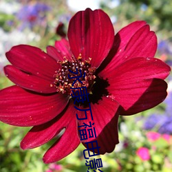 永康万福电影院