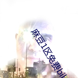 麻(麻)豆1区免费(費)bilibili