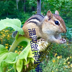 yp街机电子游戏(中国)官方网站