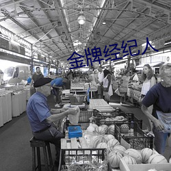 金牌经纪人 （亿万斯年）
