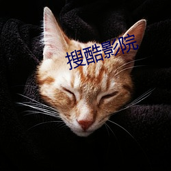 搜酷影院