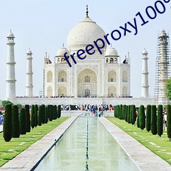 freeproxy100%