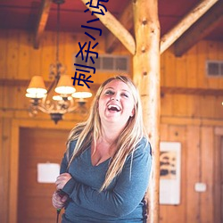 刺杀小说(說)家(家)
