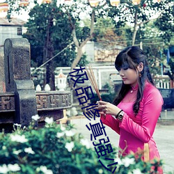 极品修真(zhēn)强(qiáng)少
