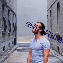 杀死一只知更鸟 （遁世遗荣）