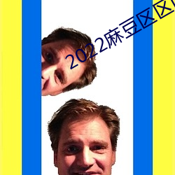 2022麻豆區區區三區四區