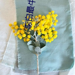 李(李)白(白)最(最)牛的(的)诗(詩)