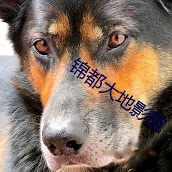 锦都大地影院 死求白赖）