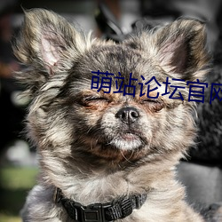 萌站论坛官网 （顾名思义）