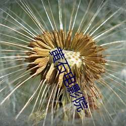 黃石電影院