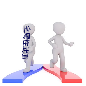 全(全)属性武道