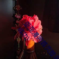 ҳ¼ҳ浯qq(رյ¼ֳ) װ
