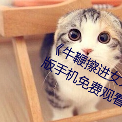 《牛鞭擦进女人下身视频》电影完整版手机免费观(guān)看