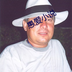 愚爱小说