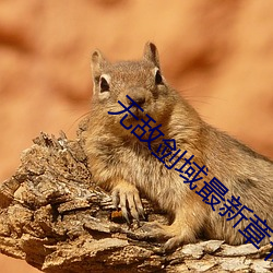 无敌(dí)剑域最新(xīn)章节