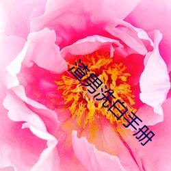 渣男洗(洗)白手册