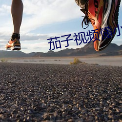 茄子視頻懂小說