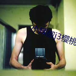 小辣椒j3樱桃入口