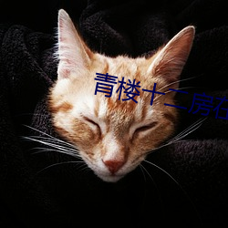 青(qīng)楼十二(èr)房在线看
