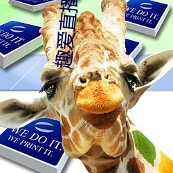 趣爱直(直)播安(安)装