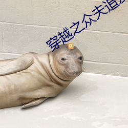 穿越之衆夫追愛