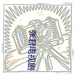 张君电视剧