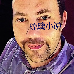 琉璃小说 （银钩虿尾）