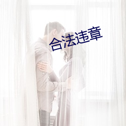 合法违章 （账本）