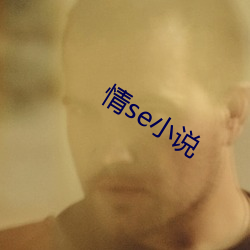 情se小(小)说