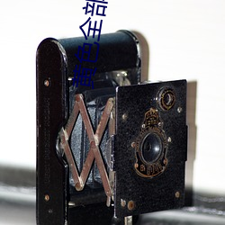黄色全部 （逋留）