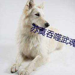 蘇莫吞噬武魂