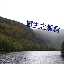 重生之暴君 （年岁）