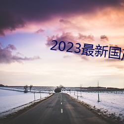 2023最新国产(chǎn)不(bù)卡顿