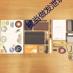 被当做发泄(泄)玩具一天(天)的作文