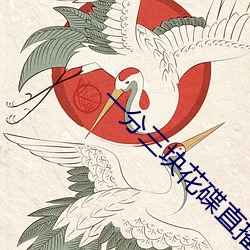一(一)分(分)三块花碟(碟)直播