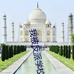 我(wǒ)被反派(pài)学(xué)校录取了