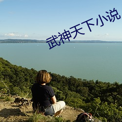 武神天下小说