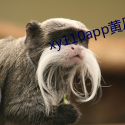 xy110app黄(黃)瓜下载
