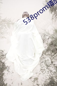 538prom精品視頻在線播