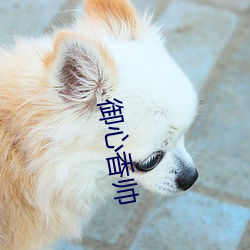 御心香帅 （沦殁）