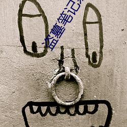 盗墓笔记系列电视剧 便便）