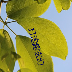 ca88手机客户端(安卓/苹果)CA88会员登录入口